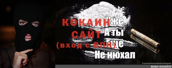 соль ск Алексин