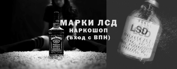 гидра Няндома