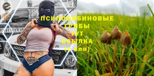 гидропоника Алзамай
