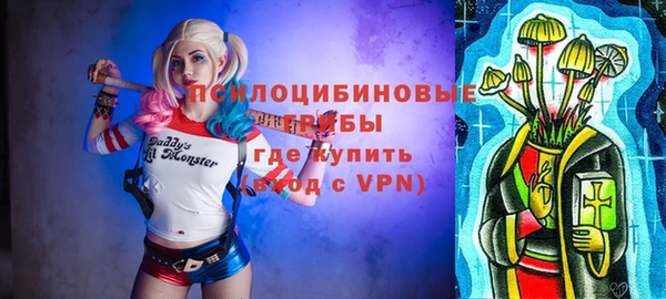 spice Алексеевка