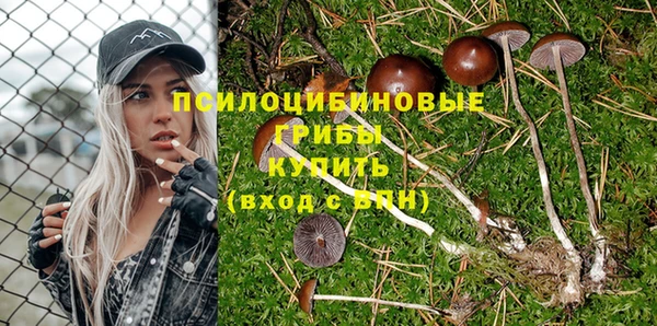 соль ск Алексин